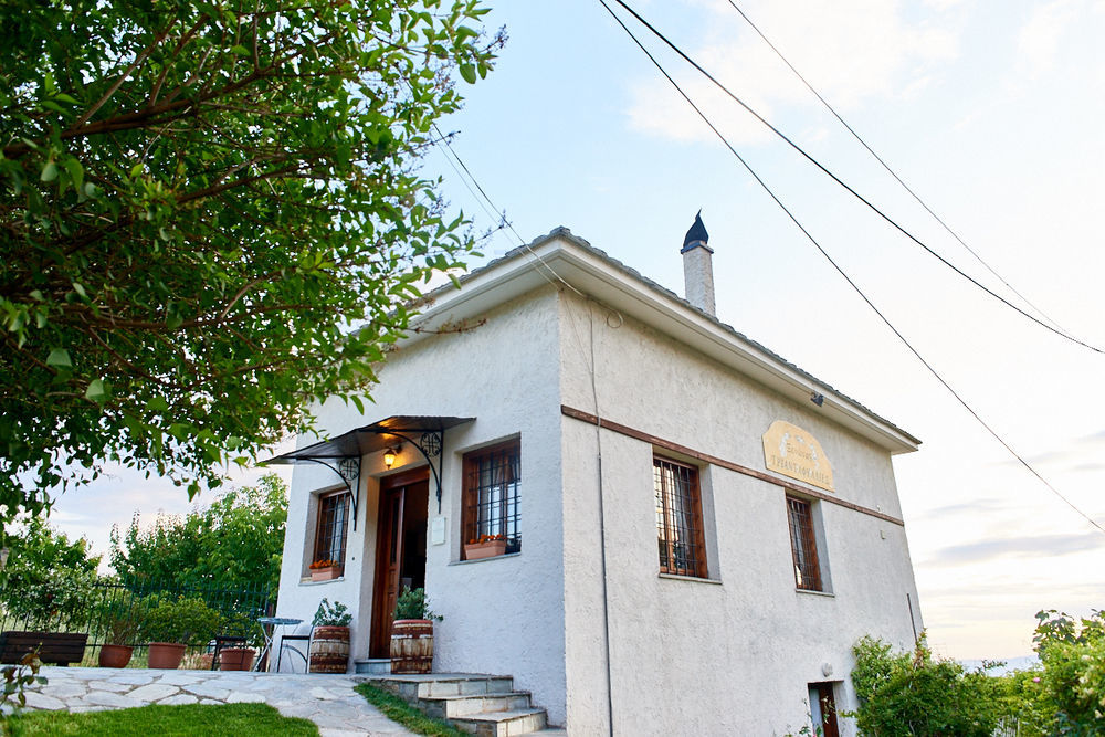 Triantafillies Guesthouse Πορταριά Εξωτερικό φωτογραφία