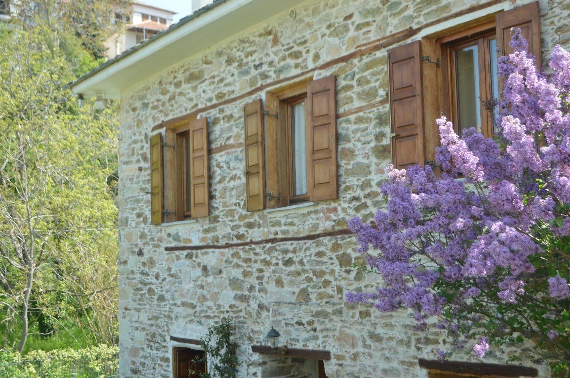 Triantafillies Guesthouse Πορταριά Εξωτερικό φωτογραφία
