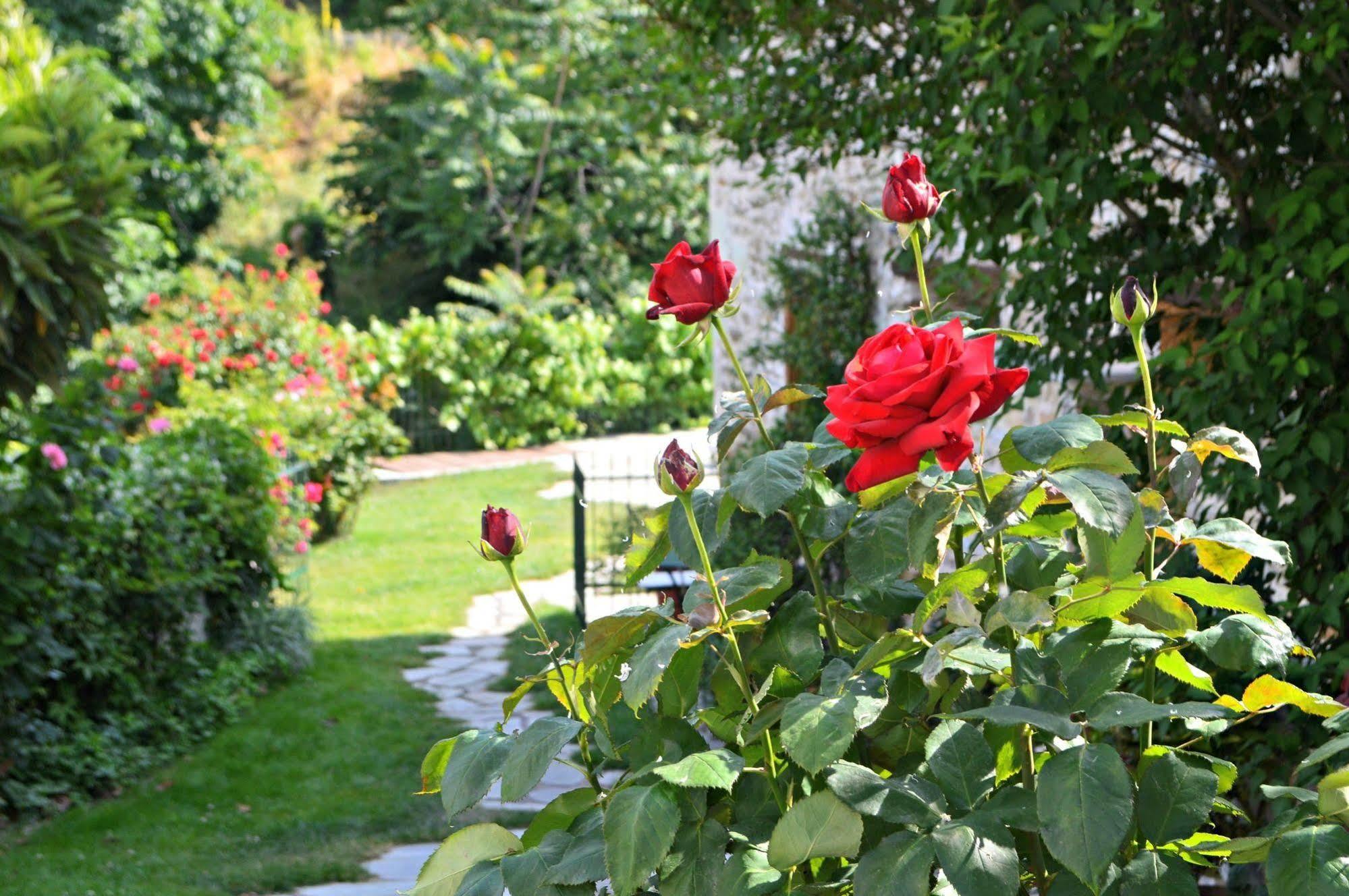 Triantafillies Guesthouse Πορταριά Εξωτερικό φωτογραφία