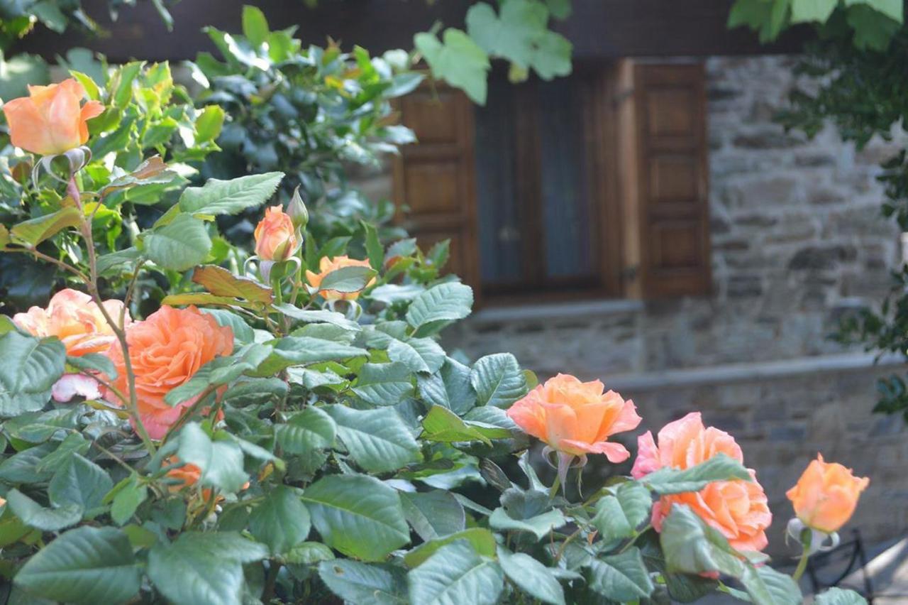 Triantafillies Guesthouse Πορταριά Εξωτερικό φωτογραφία