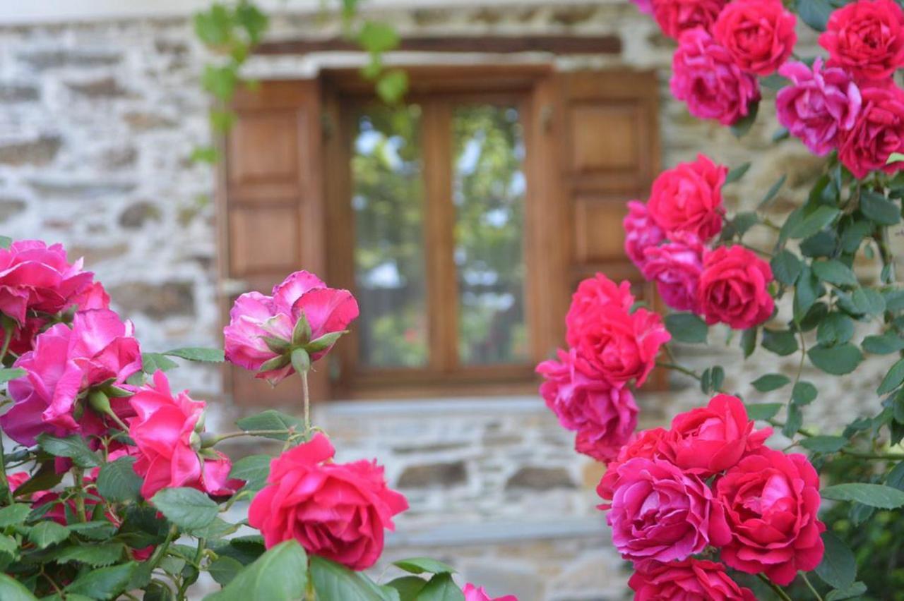 Triantafillies Guesthouse Πορταριά Εξωτερικό φωτογραφία